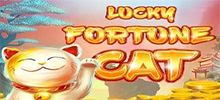 Lucky Fortune Cat online slot is an Asian themed game with 5 reels, 3 lines and 28 different bets that pay left to right and right to left. Play Lucky Fortune Cat to see if you have been blessed with good luck by the money cat of Japanese culture. This slot is very cute and packed with fun features like re-spin bonuses, wilds, scatters and free games.