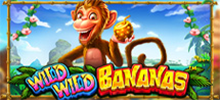 Enter the heart of the jungle and collect loads of bananas in Wild Wild Bananas™. Travel to the paradise of succulent and unmissable prizes, on this tropical island that is home to monkeys, pelicans and snakes, with which they must be formed as a corresponding combination in the 576 ways to win. Three incredible jackpots underpin this slot and you can hit the jackpot of up to 12,000x your stake! Collect lots of bananas and enjoy instant cash prizes.<br/>
<br/>
Have fun with Wild Wild Bananas™ now!